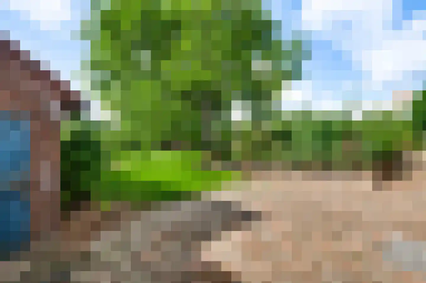 Beegderveld 2 Beegden thumbnail 33