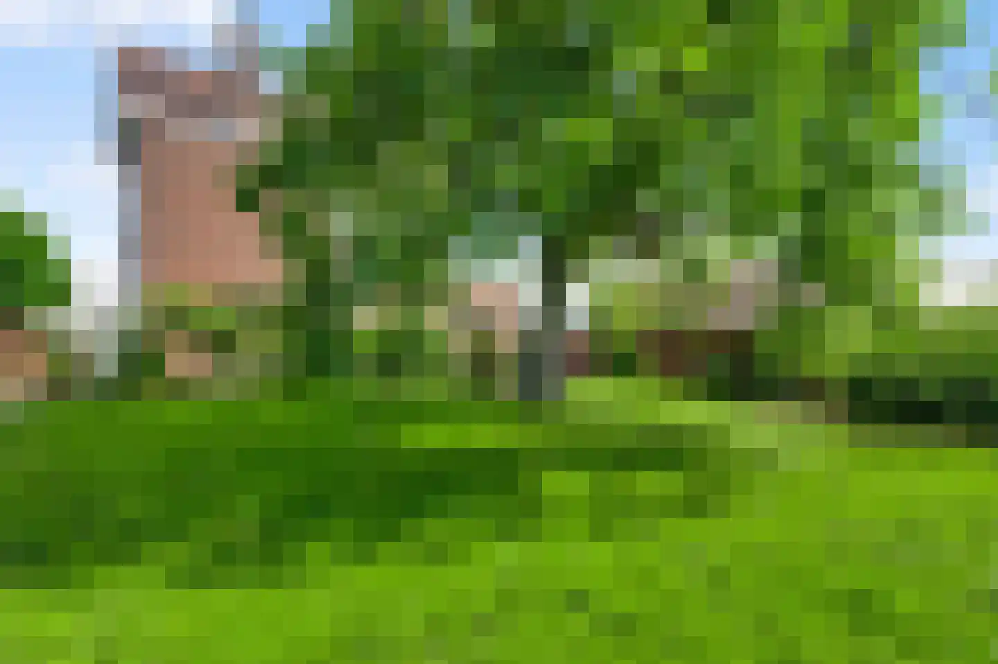 Beegderveld 2 Beegden thumbnail 36