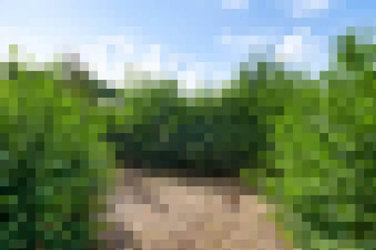 Beegderveld 2 Beegden thumbnail 37