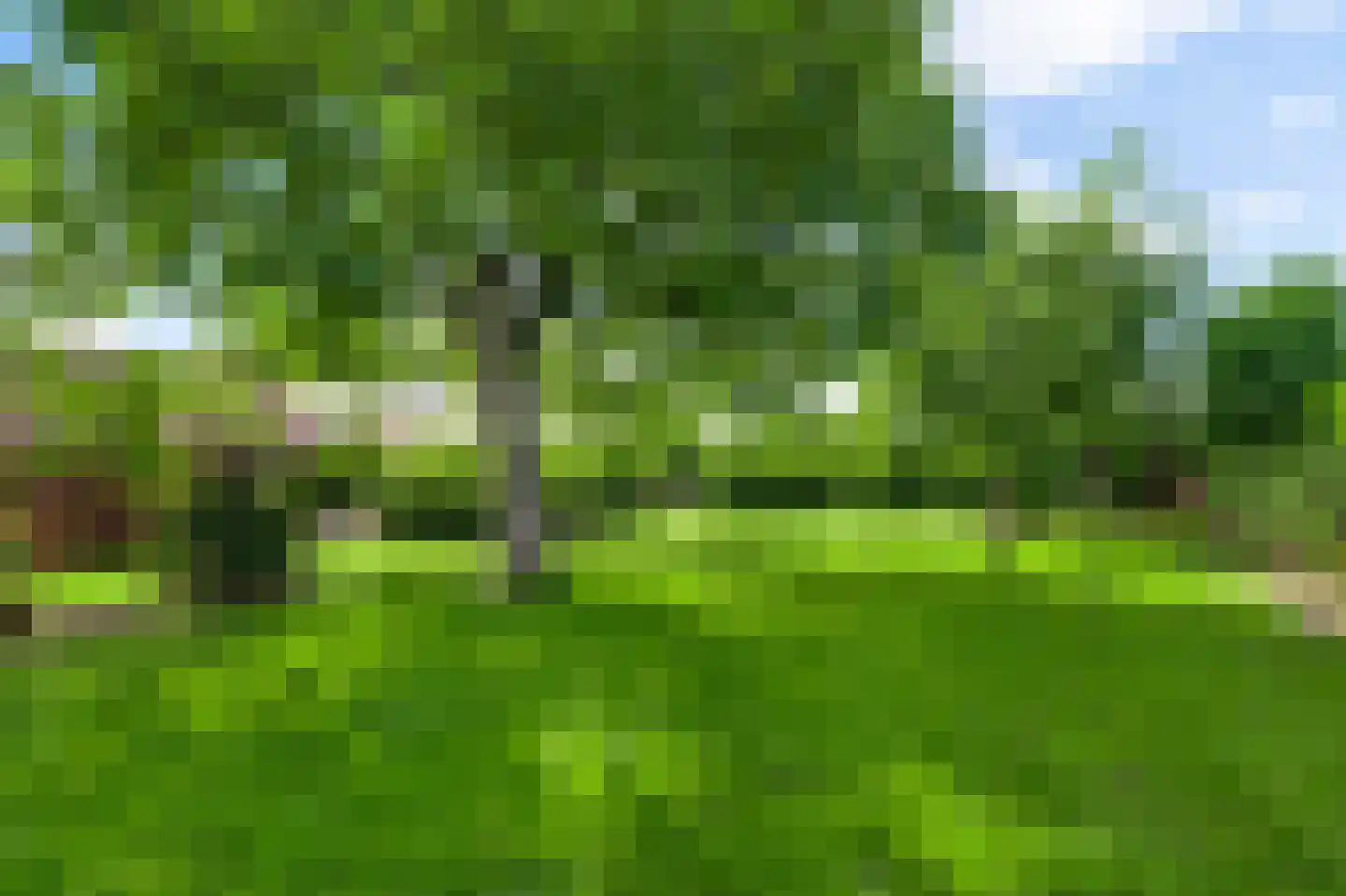 Beegderveld 2 Beegden thumbnail 6