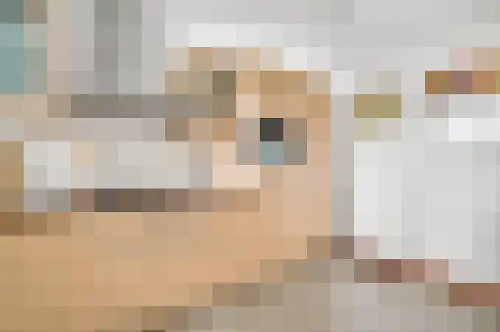 Beegderweg 2 b Horn thumbnail 17