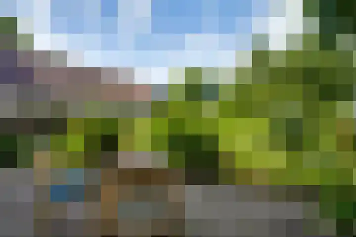 Beegderweg 2 b Horn thumbnail 28