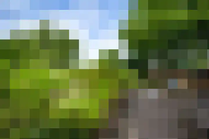 Beegderweg 2 b Horn thumbnail 29