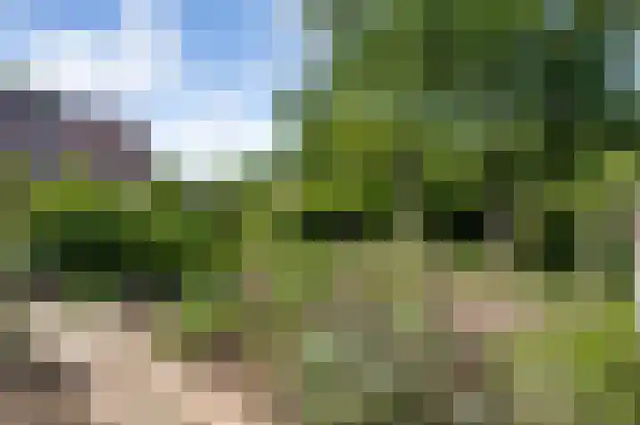 Beegderweg 2 b Horn thumbnail 30