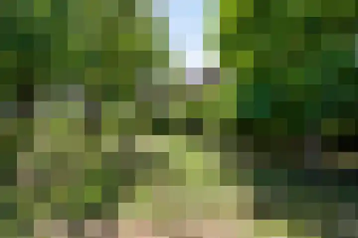 Beegderweg 2 b Horn thumbnail 31