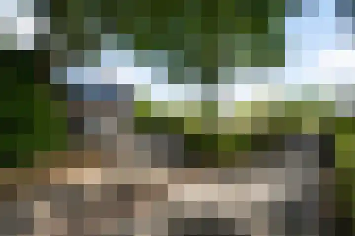 Beegderweg 2 b Horn thumbnail 33