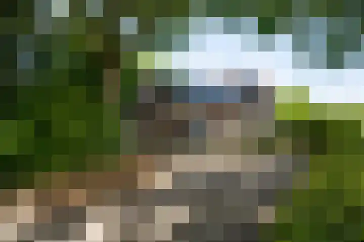 Beegderweg 2 b Horn thumbnail 34