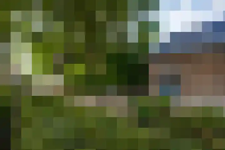 Beegderweg 2 b Horn thumbnail 36
