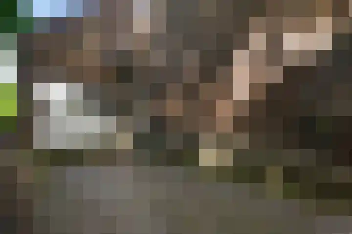 Beegderweg 2 b Horn thumbnail 37