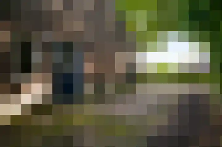 Beegderweg 2 b Horn thumbnail 38