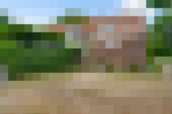 Beegderweg 7 Horn thumbnail 28