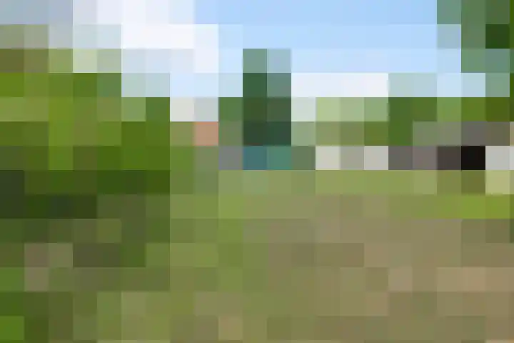 Beegderweg 7 Horn thumbnail 30