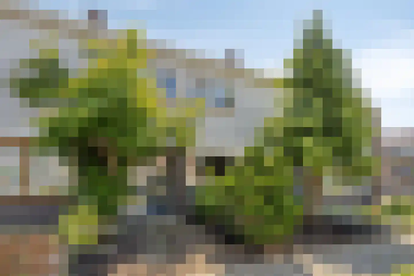 Beek 21 Assen thumbnail 10
