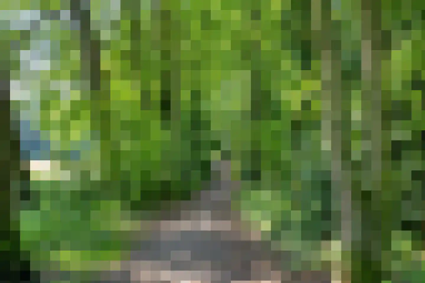Beek 21 Assen thumbnail 49