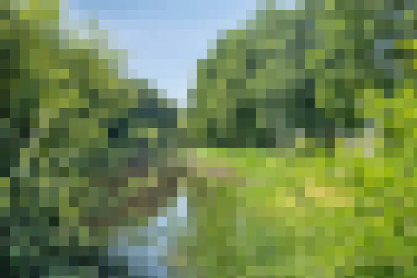 Beek 21 Assen thumbnail 50
