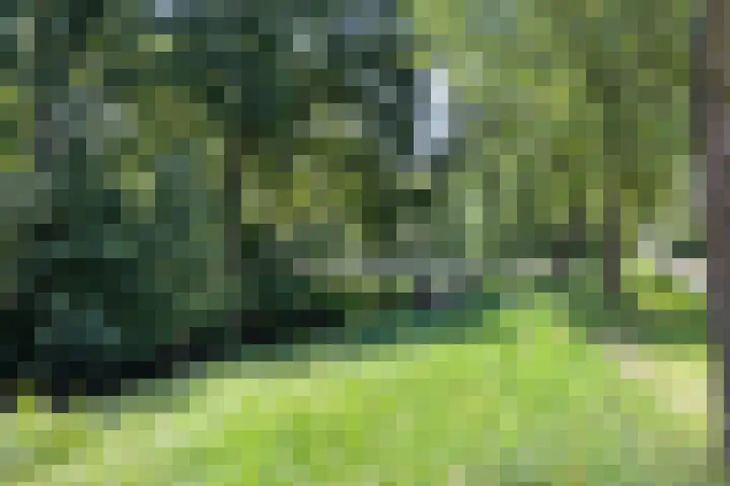 Beek 21 Assen thumbnail 51
