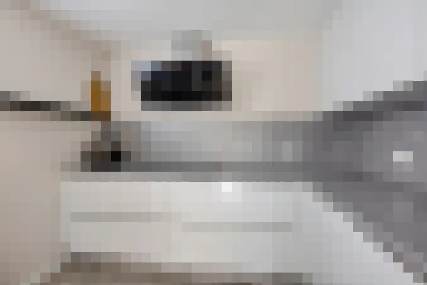 Beek 28 Assen thumbnail 20