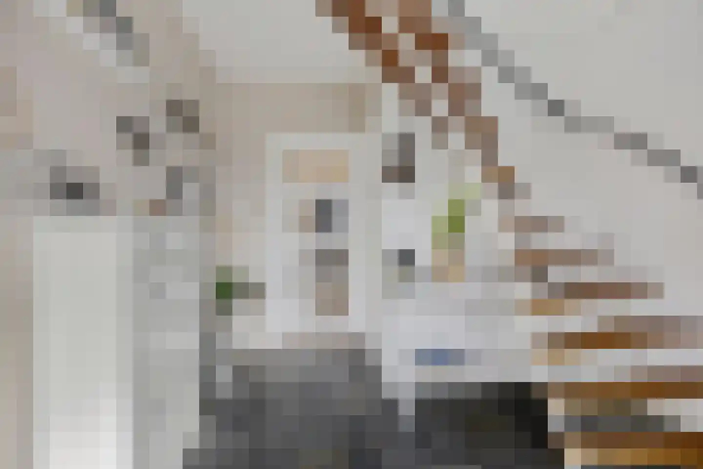 Beek 28 Assen thumbnail 7