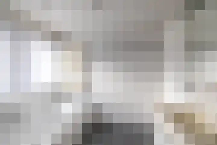 Beek 3 Assen thumbnail 29
