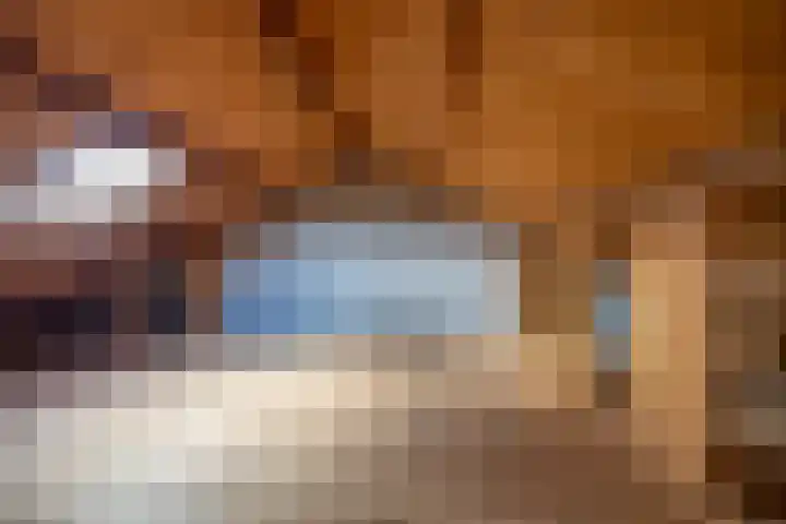 Beek 3 Assen thumbnail 34