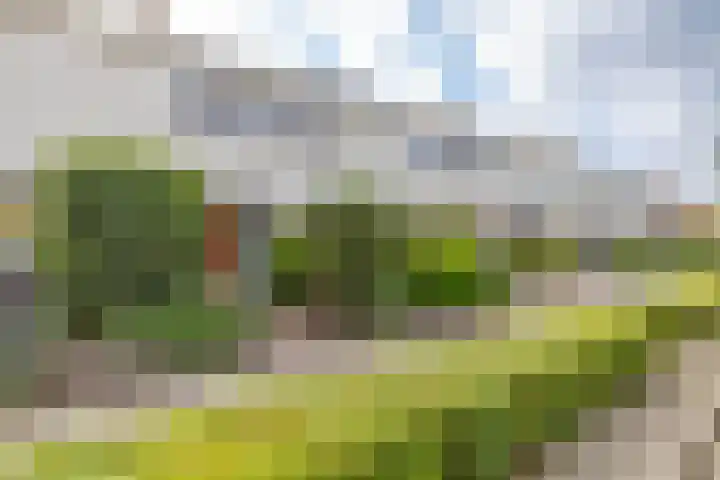 Beek 3 Assen thumbnail 4