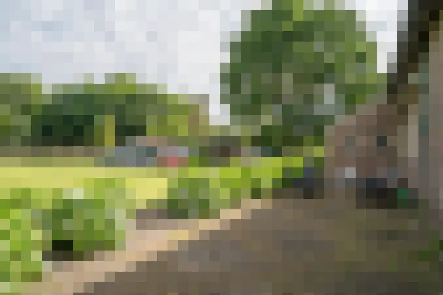 Beek 4 Merselo thumbnail 26