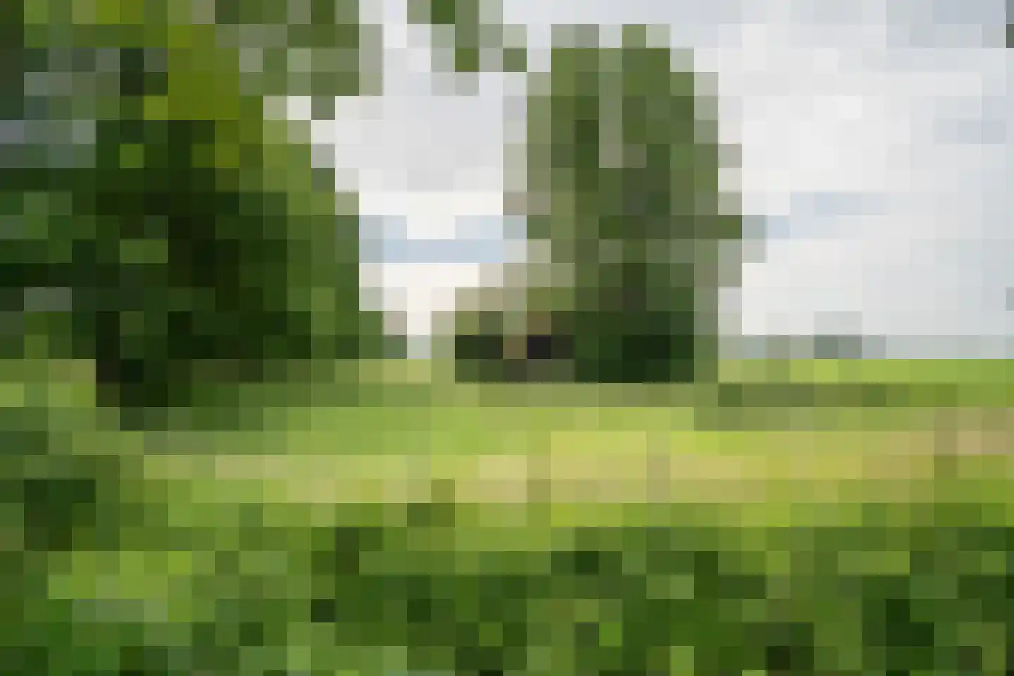 Beek 4 Merselo thumbnail 6