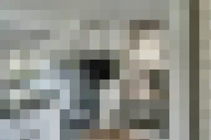 Beek 6 Merselo thumbnail 10