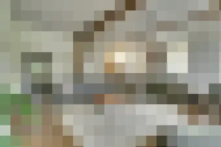 Beek 6 Merselo thumbnail 19