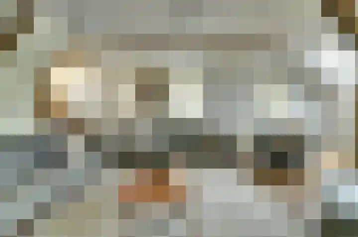 Beek 6 Merselo thumbnail 20
