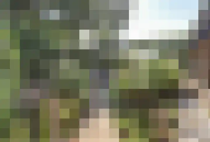Beek 6 Merselo thumbnail 53