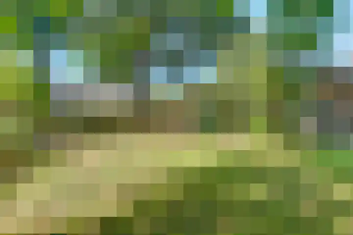 Beek 6 Merselo thumbnail 58