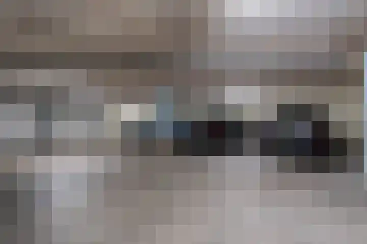 Beek en Bosch 41 Roden thumbnail 41