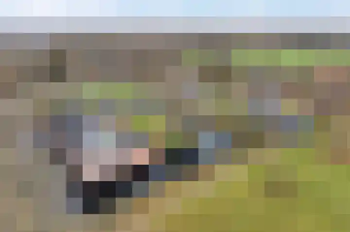 Beek en Bosch 41 Roden thumbnail 43
