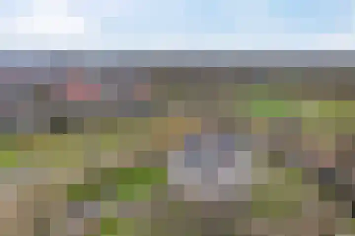 Beek en Bosch 41 Roden thumbnail 47