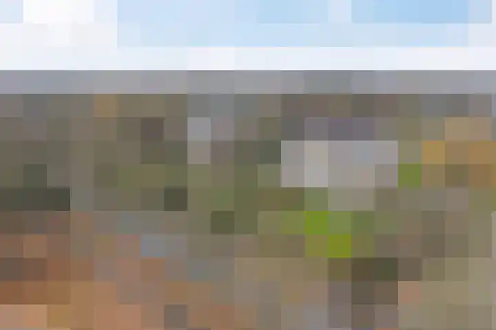 Beek en Bosch 41 Roden thumbnail 5