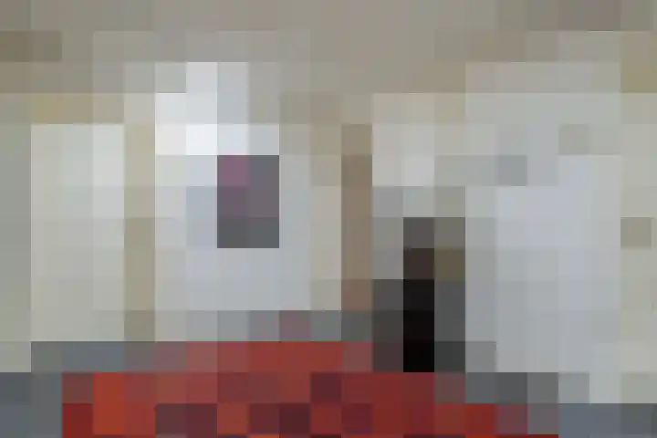 Beek en Bosch 41 Roden thumbnail 8
