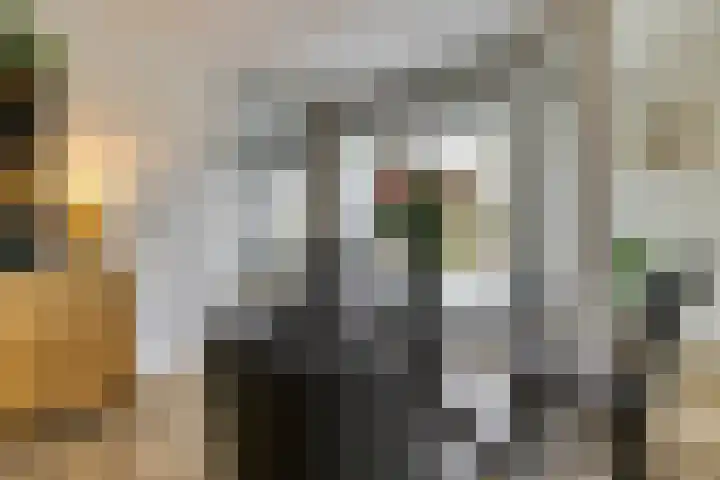 Beek en Bosch 51 Roden thumbnail 21