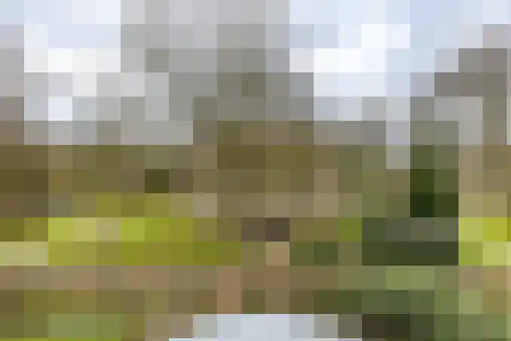 Beek en Bosch 51 Roden thumbnail 30