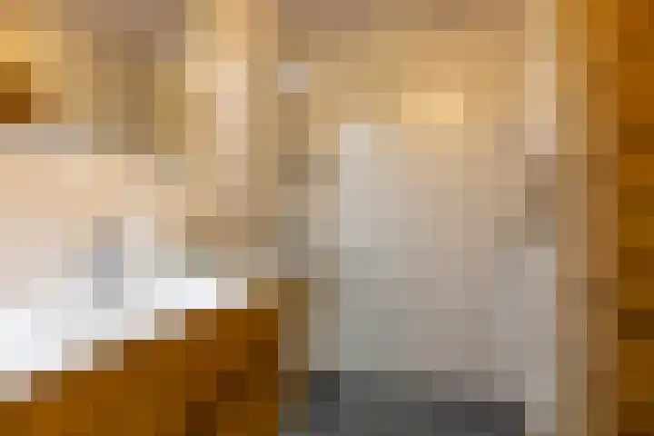 Beek en Bosch 51 Roden thumbnail 34