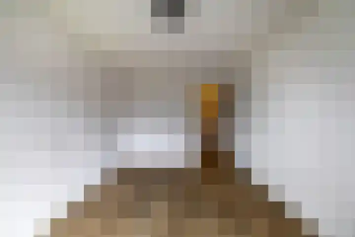 Beek en Bosch 51 Roden thumbnail 37