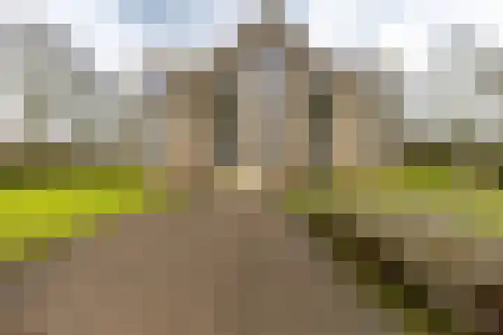 Beek en Bosch 51 Roden thumbnail 41