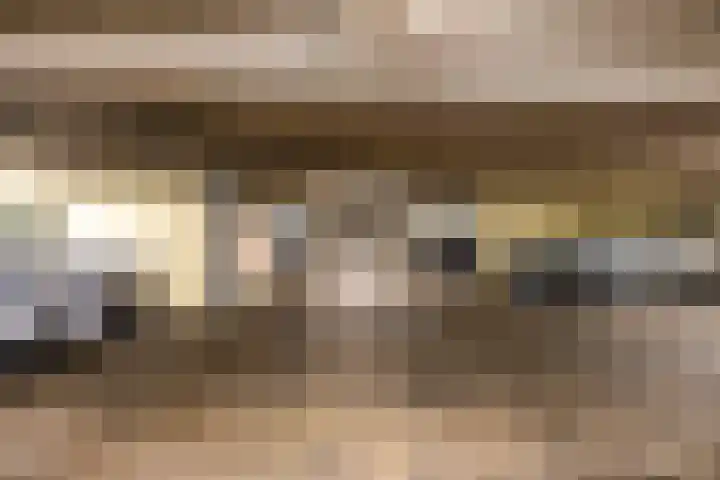 Beek en Bosch 51 Roden thumbnail 45