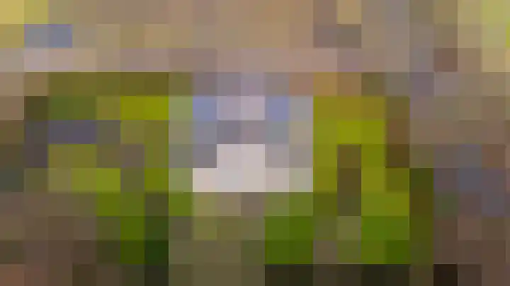 Beek en Bosch 51 Roden thumbnail 48