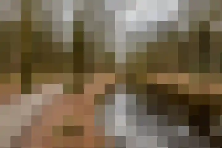 Beek en Bosch 51 Roden thumbnail 52