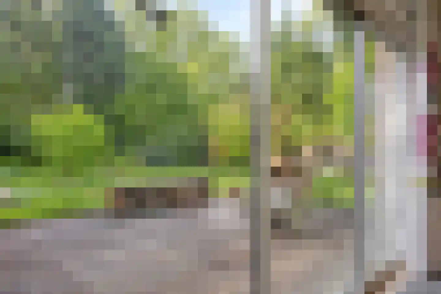 Beek en Brink 14 Zorgvlied thumbnail 10