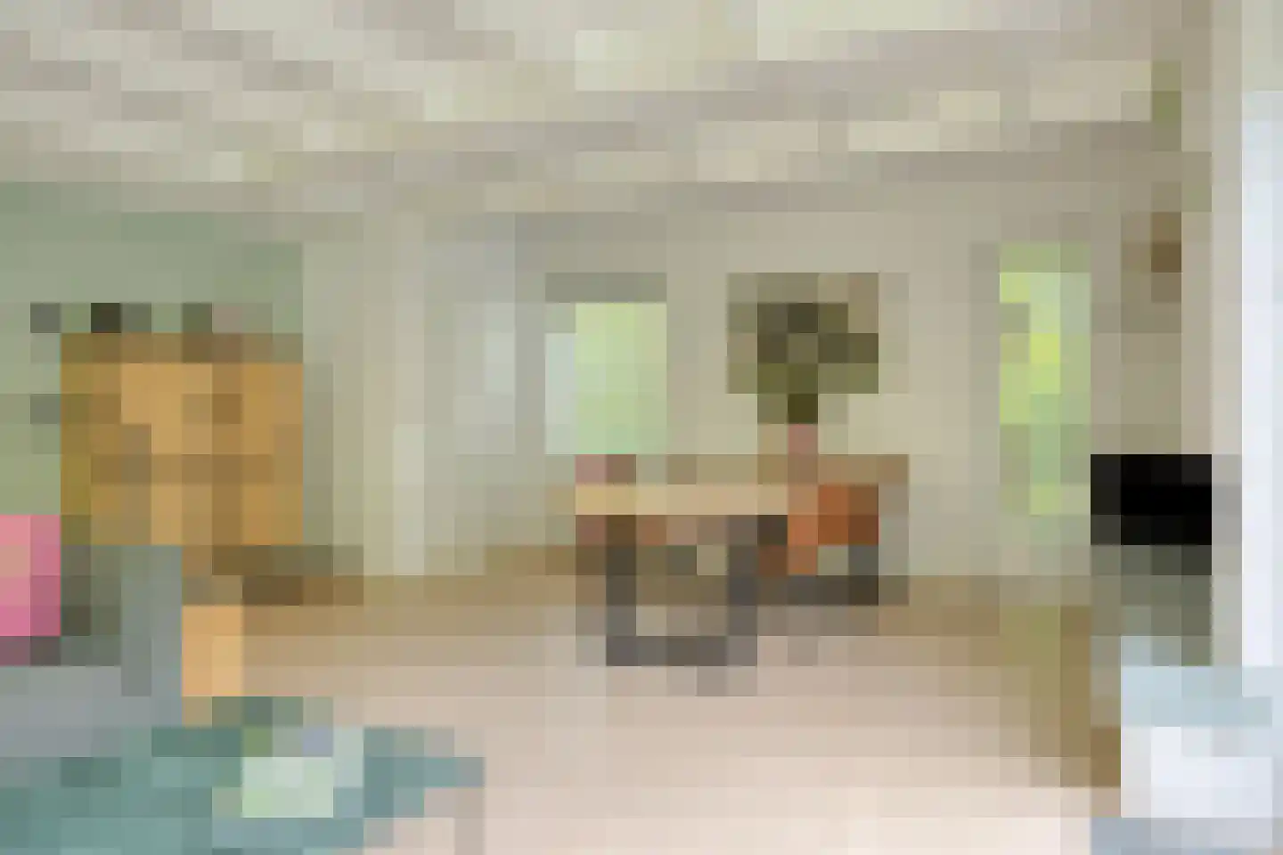 Beek en Brink 14 Zorgvlied thumbnail 11