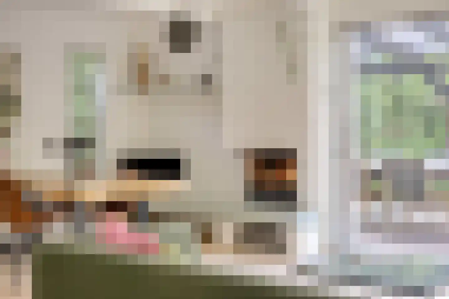 Beek en Brink 14 Zorgvlied thumbnail 12