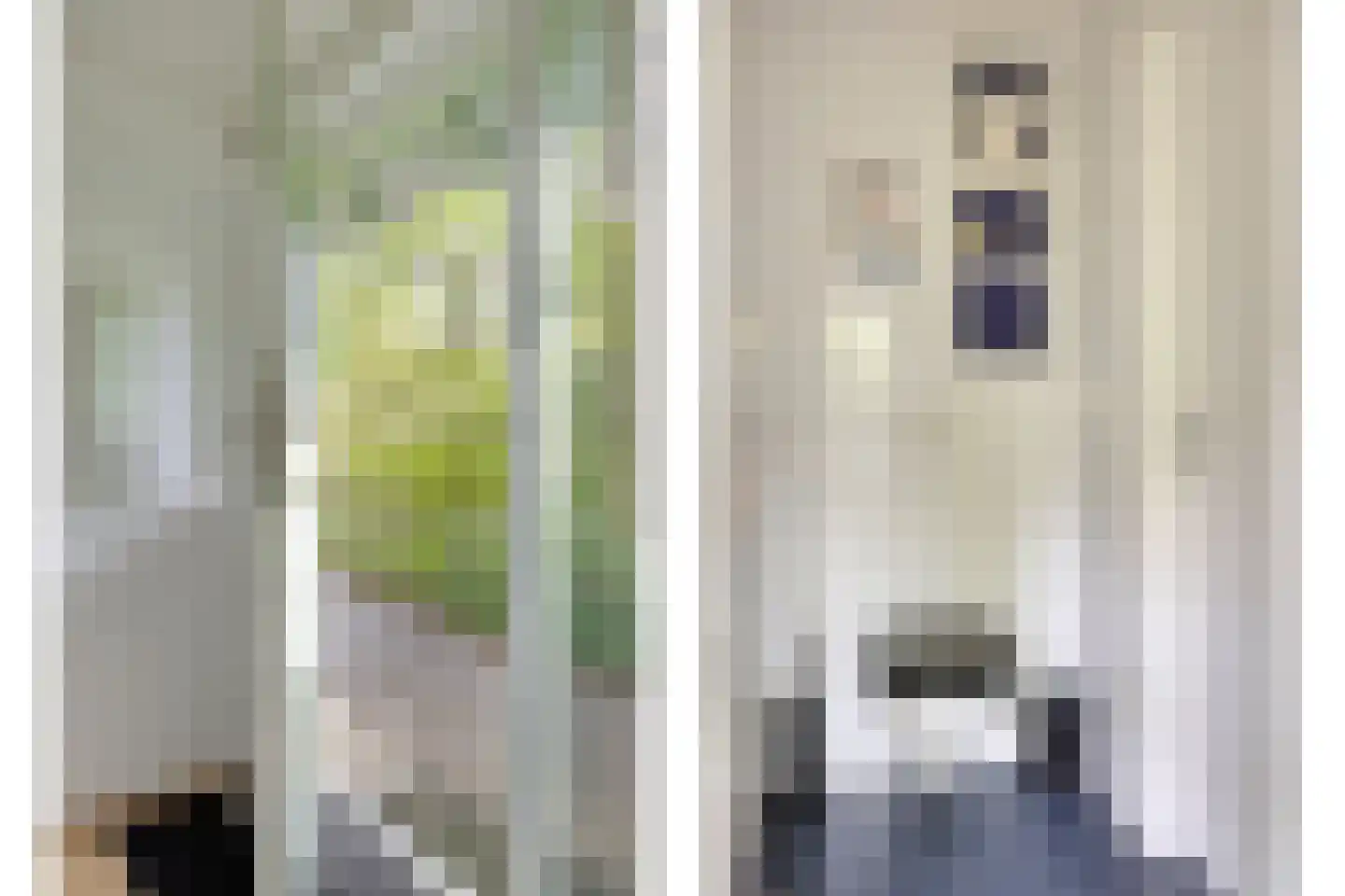 Beek en Brink 14 Zorgvlied thumbnail 23