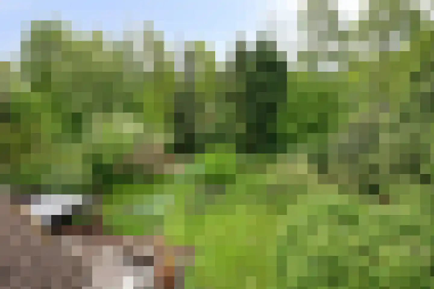 Beek en Brink 14 Zorgvlied thumbnail 34